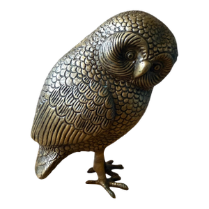 Heavy Brass Owl Burrowing Ground Bird Etched Statue