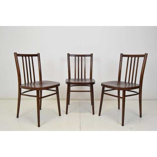 Mid-Century Chairs from TON, 1960s, Set of 3 For Sale - Image 3 of 14