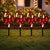 Guide guests to your winter wonderland with the Candy Cane Pathway Light Ekkolight Set. This festive set of four...