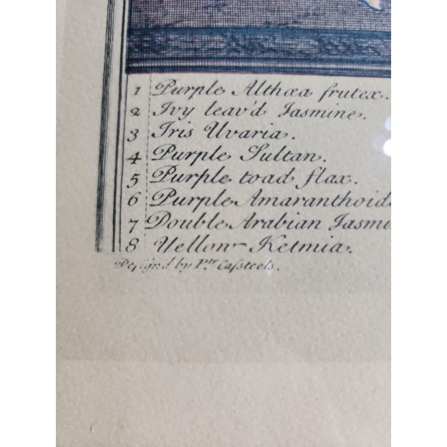 Peter Casteels Botanical Reproduction Prints - A Pair For Sale - Image 4 of 9