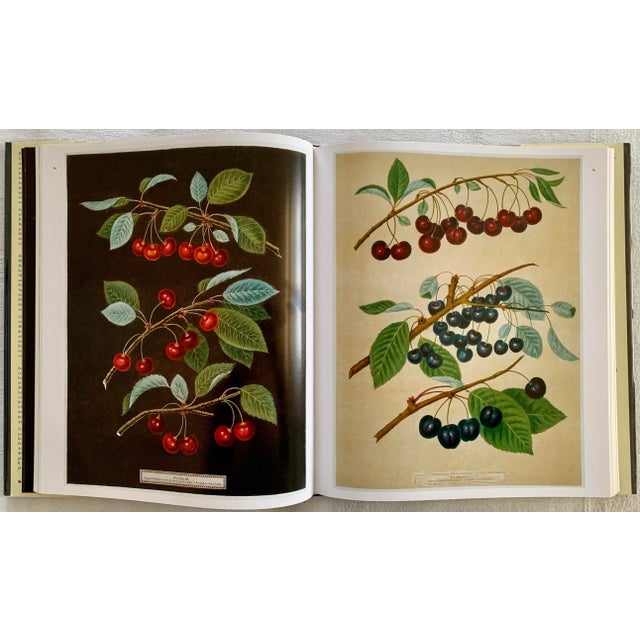 2000 - 2009 Pomona Britannica: The Complete Plates For Sale - Image 5 of 8