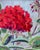 Vintage oil painting on hardboard depicting a bright red geraniums and green leaves against a soft blue background. By...