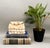 Wonderful vintage handmade decorative box completely encrusted with natural seashells and crushed shell fragments. The...