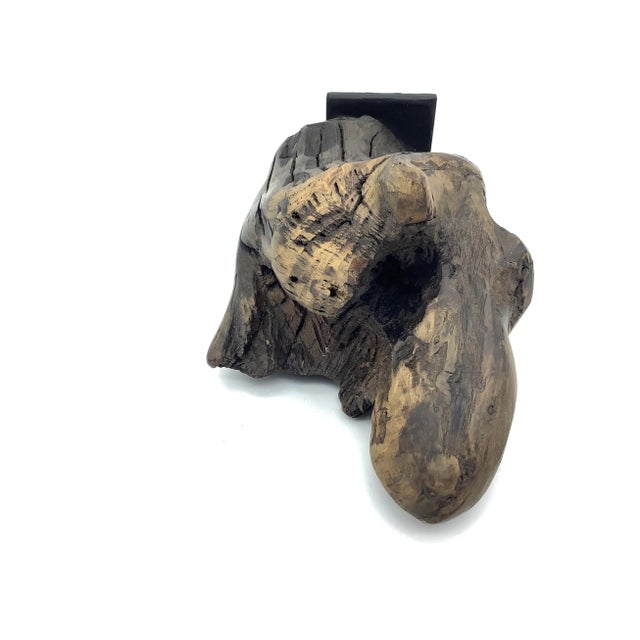Late 20th Century Driftwood Sculpture For Sale - Image 4 of 13