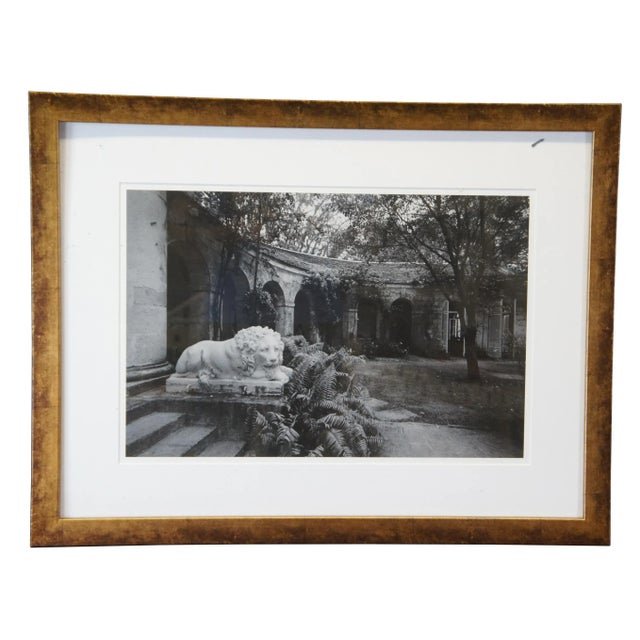 3 Vogue framed photographs A sculpture of a lion in a garden by Patrick Litchfield The garden on a home in Meridian Hill...