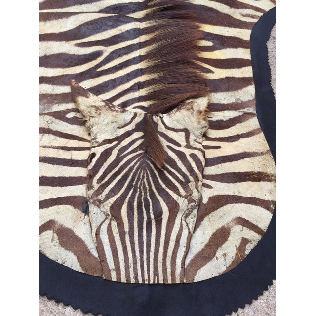 Vintage Brown Zebra Hide Rug Chairish