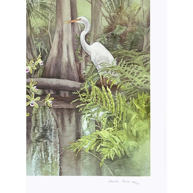 “Fakahatchee Strand Preserve” Giclee Print by Angela Mirro - For Sale - Image 4 of 4
