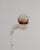 Giallo Siena Marble Lucerna Lamp by Esther Knopfler For Sale - Image 12 of 17