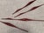 Teak Bird Wall Art, Denmark, 1960s, Set of 5 For Sale - Image 14 of 18