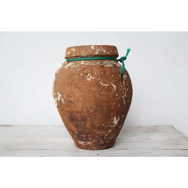 An hand made terracotta pot originally submerged under sea and used as a trap for an individual octopus. This pot has a...