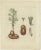 Jacquin, Various Plants, 1790, Set of 4 For Sale - Image 4 of 6