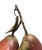 English Vintage English Penkridge Ceramics Trompe l'Oeil Double William Pear Red Fruit With Tole Leaves Life / Full Size Figure Object For Sale - Image 3 of 7