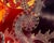 Late 20th Century Wiji Hartono Kabul Flaming Dragon Batik Painting For Sale - Image 5 of 11