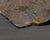 Death Mask of Aristotle After Paul Gaugin For Sale In Indianapolis - Image 6 of 6