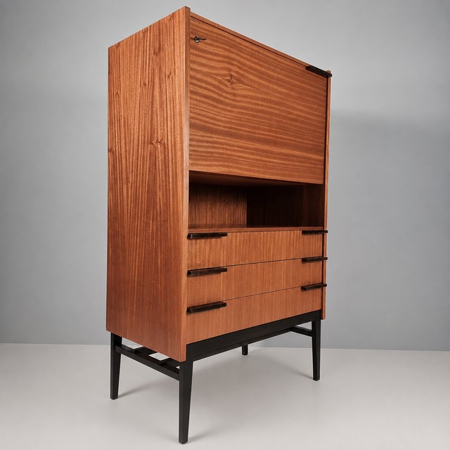 Vintage Cabinet by Francisek Mezulanik, 1960s For Sale - Image 12 of 12