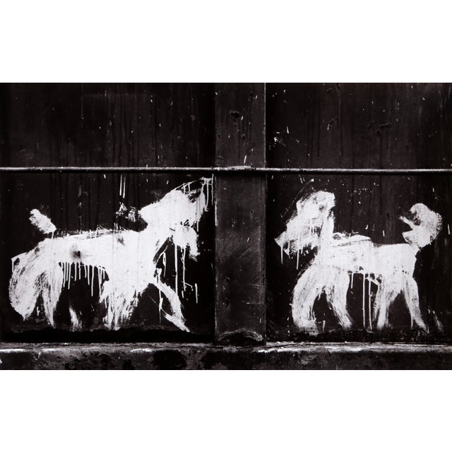 American Carlos Gustavo, Two Peter Mayer Dogs on Dumpster, Gelatin Silver Print For Sale - Image 3 of 3