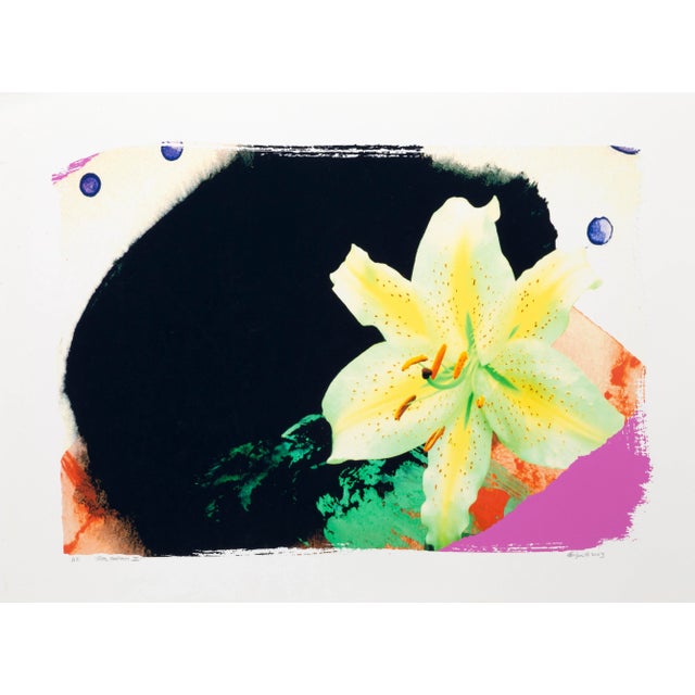 Pop Art Real Fantasy Iii, Michael Knigin Archival Pigment Print, Signed, Dated, Numbered, and Titled in Pencil For Sale - Image 3 of 3