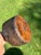 Wood Very Early Rustic Wooden Mallet For Sale - Image 7 of 7