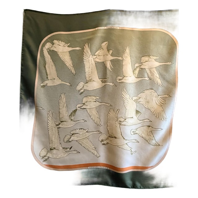 Hermès Oiseaux Migrateurs 1980 Silk Scarf Designed by Latham Caty For Sale