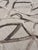 Ivory 9ft X 12ft Exquisite Rugs Goudy 4347 Hand-Loomed Area Rug For Sale - Image 8 of 12