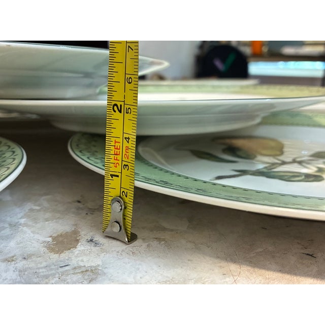 Illustration 1980s Andrea by Sadek Winterthur Adaptation Botanical Dinner Plates – Set of 14 For Sale - Image 3 of 13