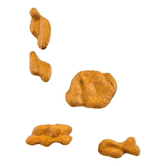 Volume 02 Hand-Carved Wall Pieces in Stained Abachi Wood by Tellurico, Set of 5 For Sale