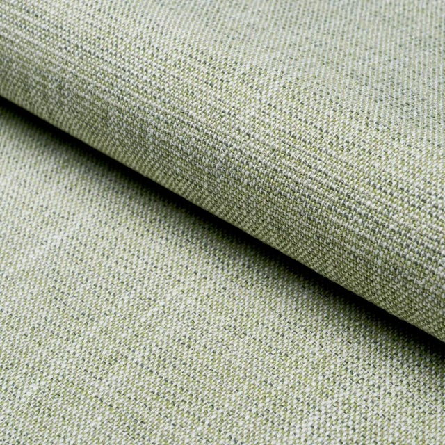 SAMPLE - Schumacher Lily Indoor/Outdoor Fabric In Sage For Sale