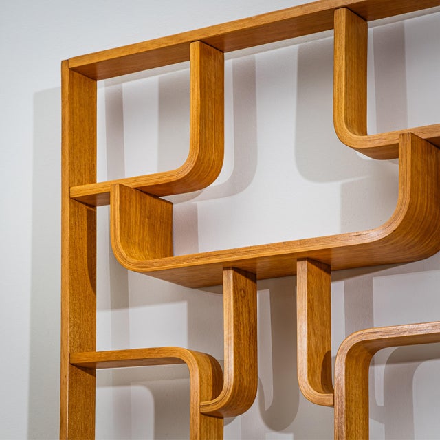 1950s Mid-Century Room Divider by Ludvík Volák for Dřevopodnik Holešov, Czech Republic, 1950s For Sale - Image 5 of 7