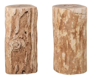 Organic Modern Petrified Wood Drink Side Tables with Polished Tops - a Pair