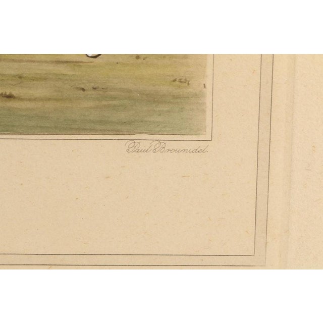 Green "Down the Field" 1930 Hand-Colored Polo Lithograph by Paul Brown (1893 - 1958) For Sale - Image 8 of 9