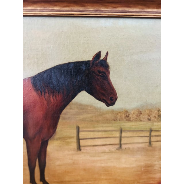Late 19th Century 19th Century, American School Folk Art "Baby" Horse O/C - Signed For Sale - Image 5 of 9