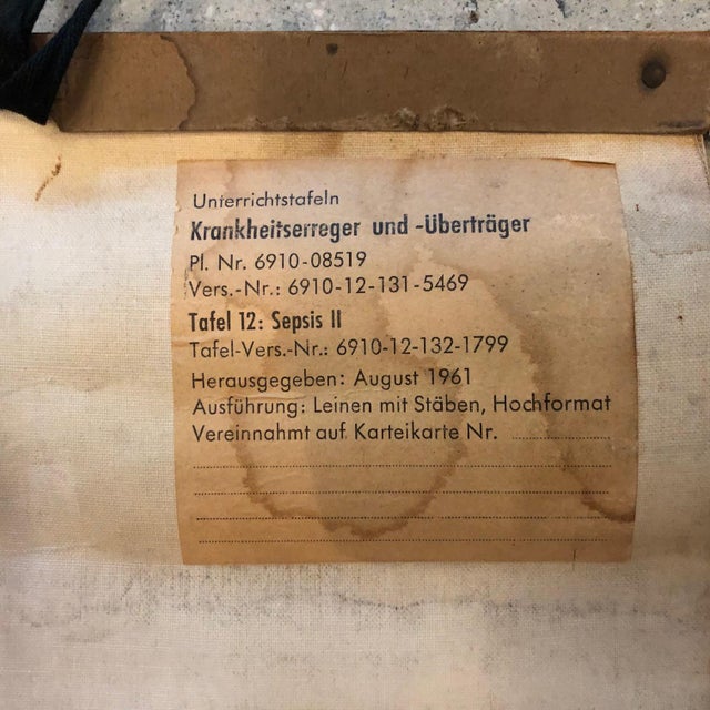 Wood Mid 20th Century German Educational Anatomical Sepsis Study Chart For Sale - Image 7 of 12