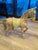 1980s Carved Wood Horse For Sale In Miami - Image 6 of 12