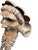 Wood Carving God and Goddess of Wine Bacchus Dionysous Ariadne For Sale - Image 4 of 11