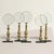 A small parliament of 19th century English brass magnifying glasses, each with its own posture, its own quiet authority....