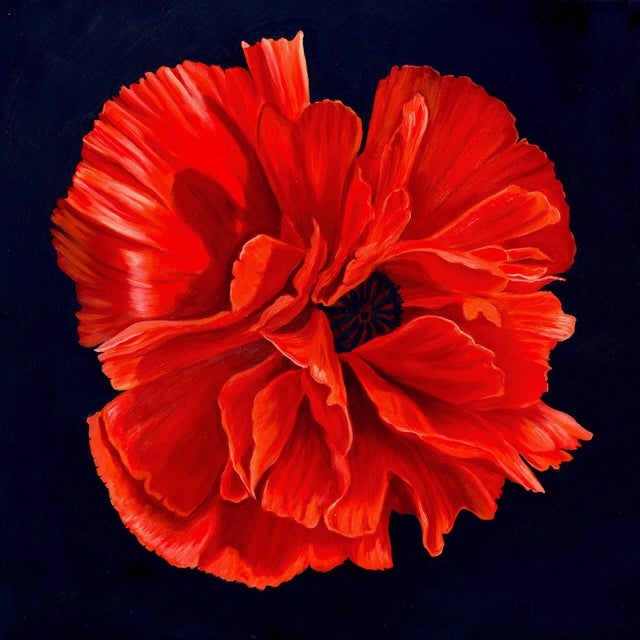 Crimson Petals showcases a vibrant, oversized red flower that commands attention against a deep black background. The...