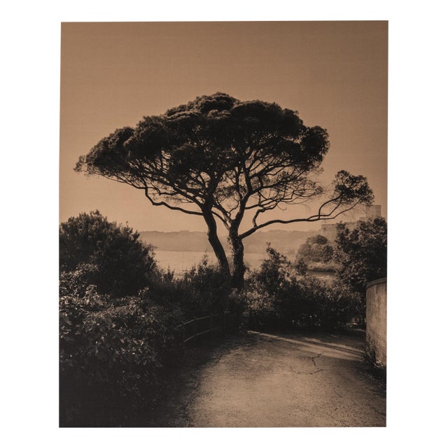 Bay of Poets Mediterranean Landscape, 2024, Artwork on Cotton Canvas For Sale