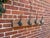 Handmade Rustic Pine Coat Hook Rack Rail – Solid Wooden Wall Mounted with Iron Hooks Add a touch of rustic charm to your...
