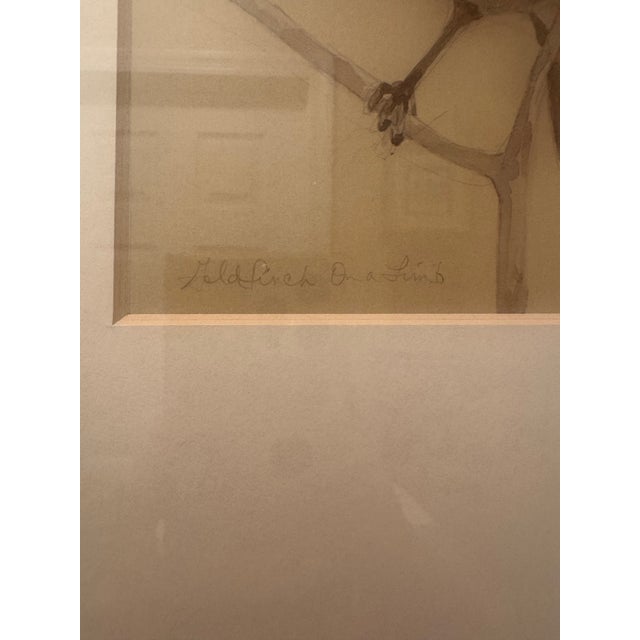 The Natural Light Gold Framed Bird Portrait Wall Art Pair For Sale In Philadelphia - Image 6 of 12