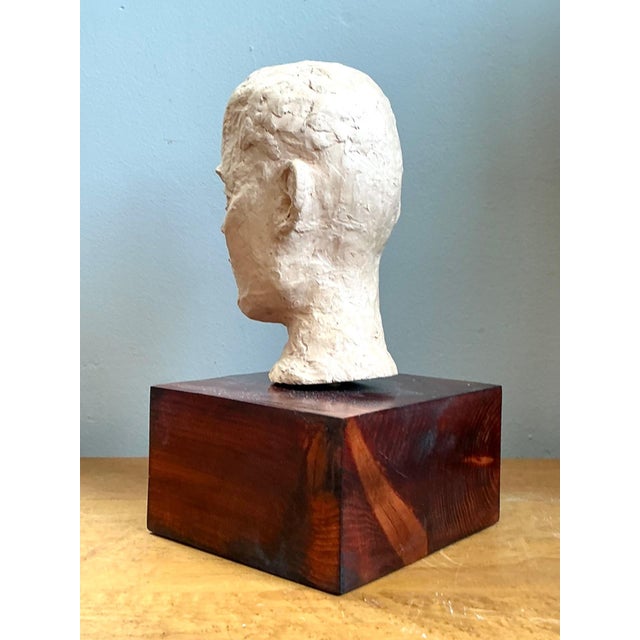 Vintage Plaster Bust of Man For Sale - Image 18 of 18
