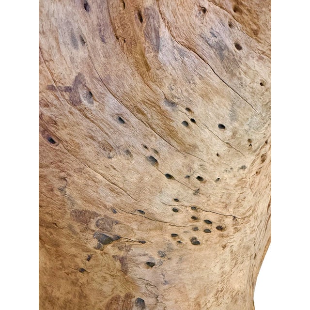 Vintage Giant Teak Root Throne Chair For Sale - Image 10 of 11