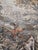 Vintage French Aubusson Style Jacquard Tapestry, 1970s For Sale - Image 4 of 18