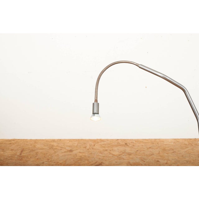 Metal Tree Tops Light Floor Lamp with Concrete Base Dark Grey Metal Stem by Ron Arad for Barton, 1983 For Sale - Image 7 of 13