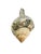 Silver Vintage Partially Silvered Conch Shell in the Style of Bucellati For Sale - Image 8 of 15