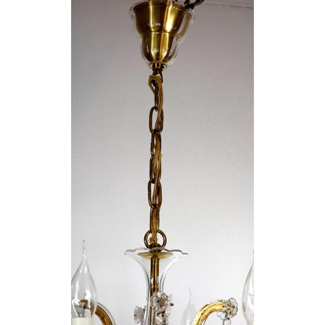 Maria Theresia 8-Light Chandelier from Palwa, 1960s For Sale - Image 13 of 13