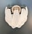 Glass Vintage Italian Murano Glass Wall Sconces in Frosted Glasses, 1990s, Set of 2 For Sale - Image 7 of 16