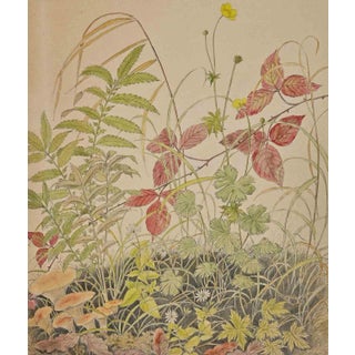Anne Gallion-Krohn, Flowers, Plants and Mushrooms, Mid 20th Century, Ink & Watercolor For Sale