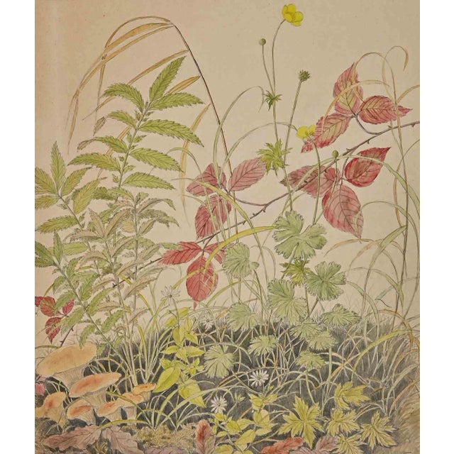 Anne Gallion-Krohn, Flowers, Plants and Mushrooms, Mid 20th Century, Ink & Watercolor For Sale