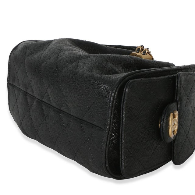 Animal Skin 26P Black Quilted Caviar Mini Chanel 25 Hobo Handbag For Sale - Image 7 of 9