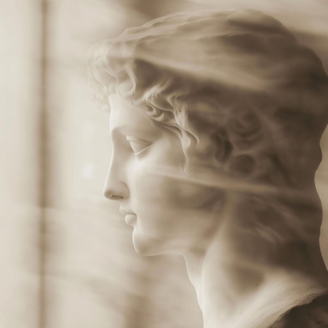 Set of 18 Blurred Antique Profiles — Archival Prints of Restored Antique Photographs For Sale - Image 15 of 18
